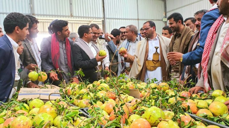 محافظ صعدة ونائب وزير الزراعة يفتتحان سوق جمعية ثمار صعدة الزراعية