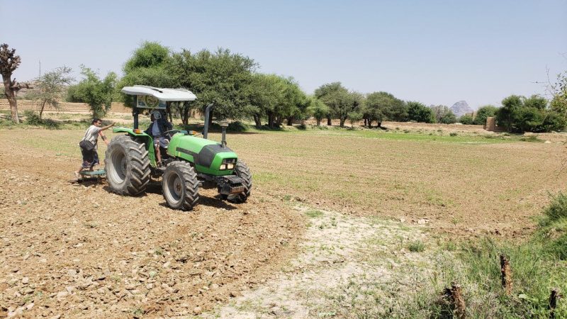 استصلاح وزراعة 4800 حبلة بمحاصيل الحبوب في سحار صعدة